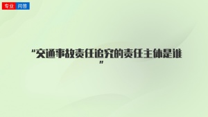 “交通事故责任追究的责任主体是谁”