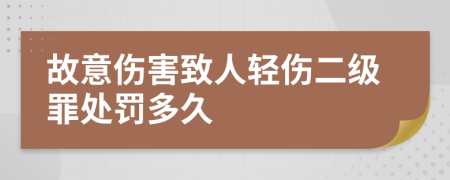 故意伤害致人轻伤二级罪处罚多久