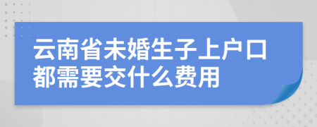 云南省未婚生子上户口都需要交什么费用