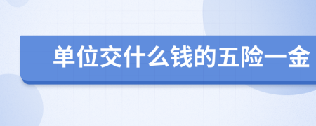单位交什么钱的五险一金