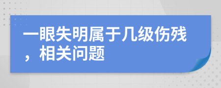 一眼失明属于几级伤残，相关问题