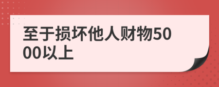 至于损坏他人财物5000以上