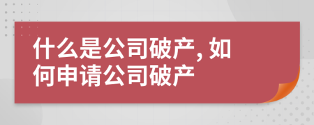 什么是公司破产, 如何申请公司破产
