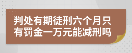 判处有期徒刑六个月只有罚金一万元能减刑吗