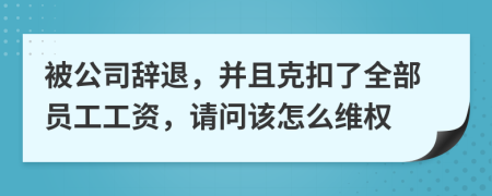 被公司辞退，并且克扣了全部员工工资，请问该怎么维权