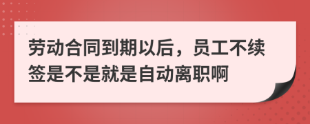 劳动合同到期以后，员工不续签是不是就是自动离职啊