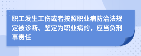 职工发生工伤或者按照职业病防治法规定被诊断、鉴定为职业病的，应当负刑事责任