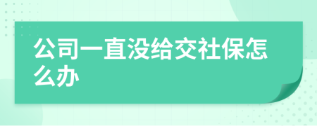 公司一直没给交社保怎么办