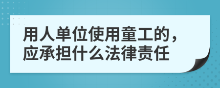 用人单位使用童工的，应承担什么法律责任