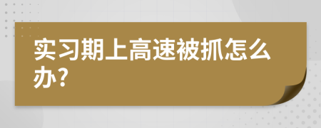 实习期上高速被抓怎么办?