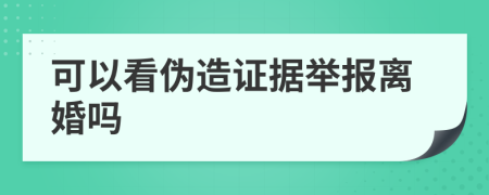 可以看伪造证据举报离婚吗