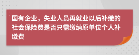 国有企业，失业人员再就业以后补缴的社会保险费是否只需缴纳原单位个人补缴费