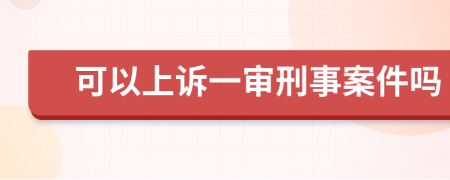 可以上诉一审刑事案件吗