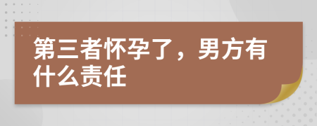 第三者怀孕了，男方有什么责任