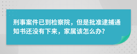 刑事案件已到检察院，但是批准逮捕通知书还没有下来，家属该怎么办？