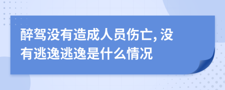 醉驾没有造成人员伤亡, 没有逃逸逃逸是什么情况