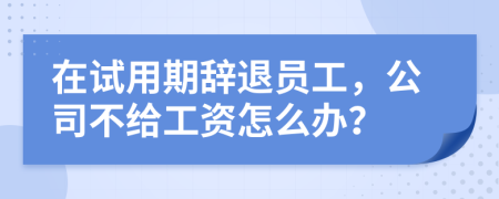 在试用期辞退员工，公司不给工资怎么办？