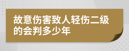 故意伤害致人轻伤二级的会判多少年