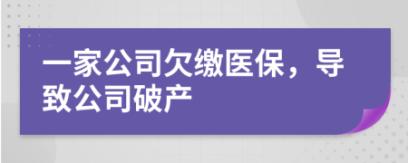 一家公司欠缴医保，导致公司破产