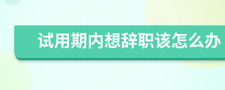 试用期内想辞职该怎么办