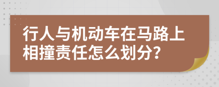 行人与机动车在马路上相撞责任怎么划分？