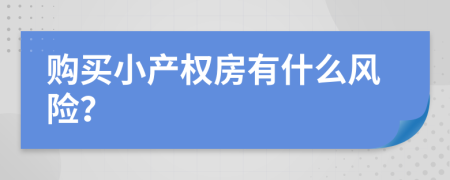 购买小产权房有什么风险？