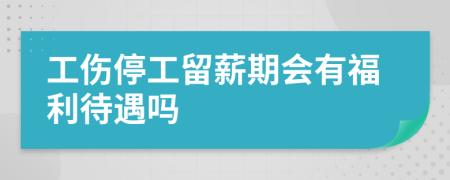 工伤停工留薪期会有福利待遇吗