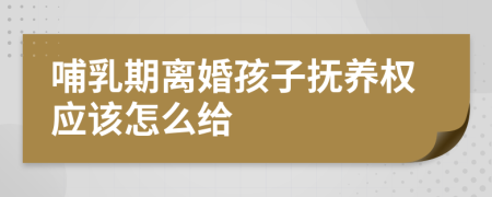 哺乳期离婚孩子抚养权应该怎么给