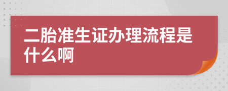 二胎准生证办理流程是什么啊