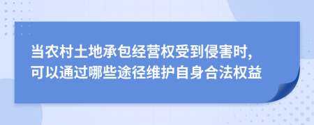 当农村土地承包经营权受到侵害时, 可以通过哪些途径维护自身合法权益