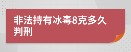 非法持有冰毒8克多久判刑