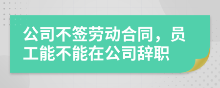 公司不签劳动合同，员工能不能在公司辞职