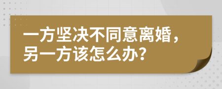 一方坚决不同意离婚，另一方该怎么办？