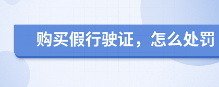 购买假行驶证，怎么处罚