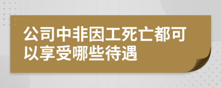 公司中非因工死亡都可以享受哪些待遇