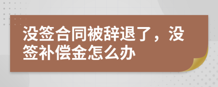 没签合同被辞退了，没签补偿金怎么办