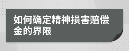 如何确定精神损害赔偿金的界限