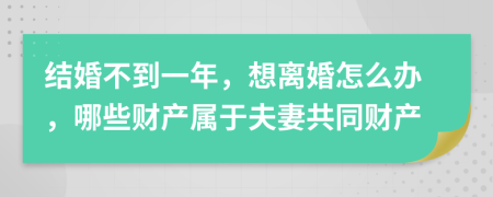 结婚不到一年，想离婚怎么办，哪些财产属于夫妻共同财产