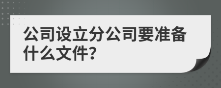 公司设立分公司要准备什么文件？