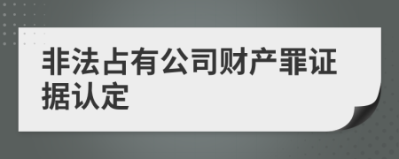 非法占有公司财产罪证据认定