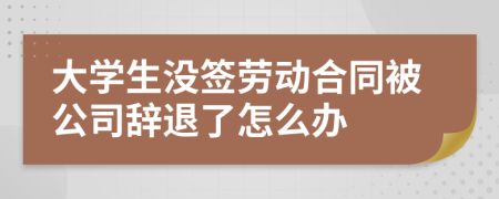 大学生没签劳动合同被公司辞退了怎么办