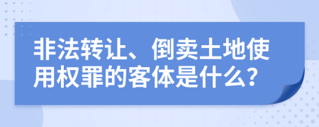 非法转让、倒卖土地使用权罪的客体是什么？