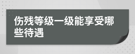 伤残等级一级能享受哪些待遇