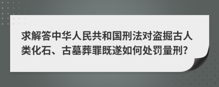 求解答中华人民共和国刑法对盗掘古人类化石、古墓葬罪既遂如何处罚量刑?