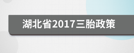 湖北省2017三胎政策