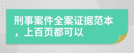 刑事案件全案证据范本，上百页都可以