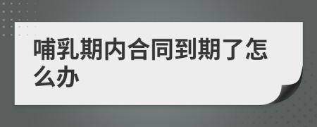 哺乳期内合同到期了怎么办