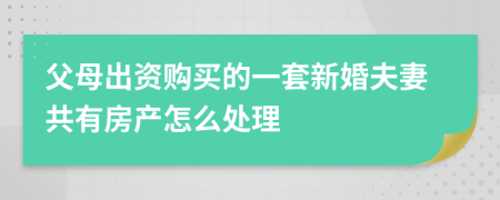 父母出资购买的一套新婚夫妻共有房产怎么处理