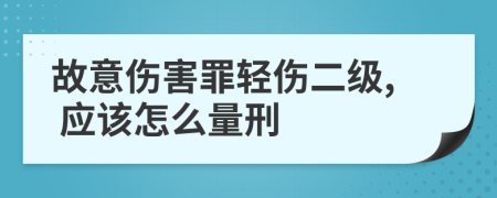 故意伤害罪轻伤二级, 应该怎么量刑