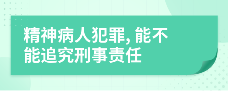 精神病人犯罪, 能不能追究刑事责任